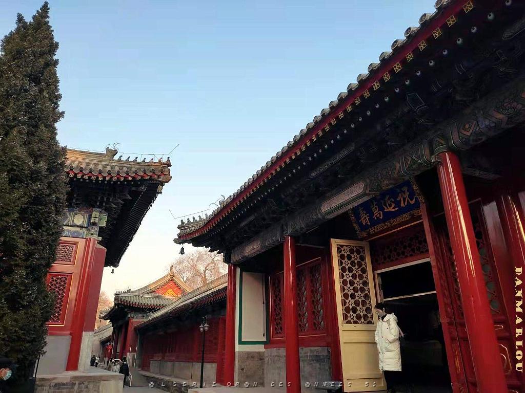 2023 02 05  PEKIN - WANSHOU TEMPLE LONGEVITE BIENVEILLANCE (20).jpg